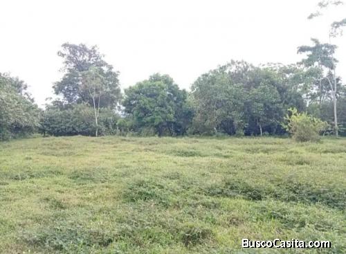 SE VENDE BELLA FINCA CON CASA EN GUÁPILES, LIMÓN. 