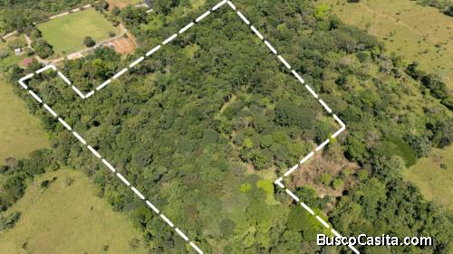 HERMOSA FINCA DE 10+ HECTÁREAS EN QUIZARRÁ, EXCELENTE UBICACIÓN