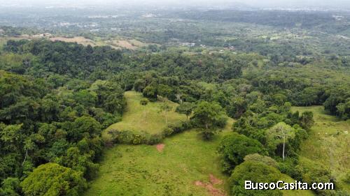 EN VENTA: IMPRESIONANTE FINCA DE 9 HECTÁREAS EN SAN BLAS CON NACIENTES