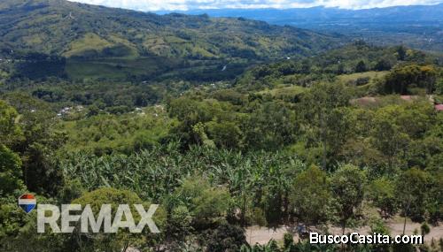 Terreno en Venta en La Fila, Rivas – Finca de Café y Banano Cerca del Chirripó
