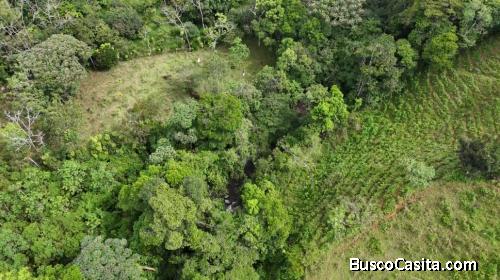HERMOSA PROPIEDAD DE MÁS DE 1 ACRE, TERRENO PLANO Y QUEBRADA EN MIRAFLORES, PÉREZ ZELEDÓN