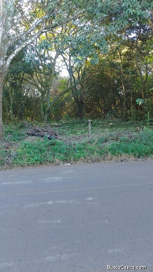 SE VENDEN 2 BELLOS LOTES EN DERECHO EN ALAJUELA.