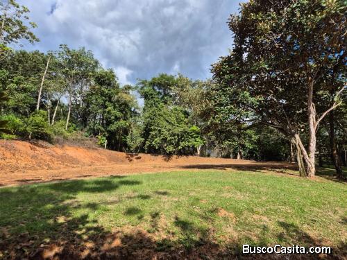 SE VENDE BELLÍSIMA QUINTA EN SAN MATEO DE ALAJUELA. 