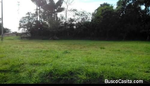 Venta de Lote en Horquetas de Sarapiquí Mls. 26-885 OFC JB