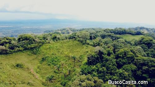 TERRENO DE 7.5 HECTÁREAS CON VISTA AL MAR Y AL RÍO EN BALSAR DE OSA