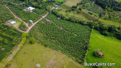 FINCA CAFETALERA DE 2.3 HECTÁREAS CON MANANTIAL, QUEBRADA Y VISTAS EN SANTA ELENA, PÉREZ ZELEDÓN