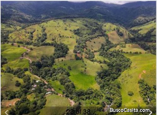 ESPECTACULAR FINCA EN BARÚ, PÉREZ ZELEDÓN. 