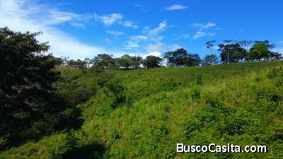 HERMOSA FINCA DE 8 HECTÁREAS EN BUENOS AIRES, PUNTARENAS