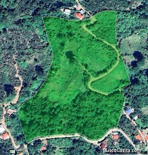 SE VENDE BELLA FINCA EN OROSI DE CARTAGO. 