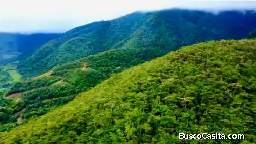 ESPECTACULAR FINCA PARA DESARROLLO EN OROSI, CARTAGO. 