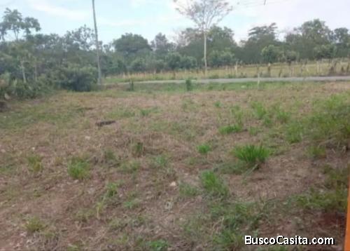 DE OPORTUNIDAD BELLO LOTE EN UPALA. 