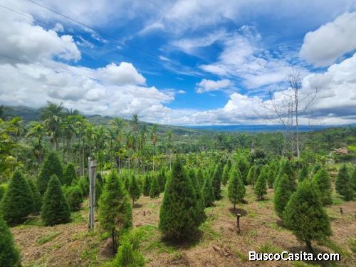 PROPIEDAD CON VISTA, FÁCIL ACCESO Y TODOS LOS SERVICIOS