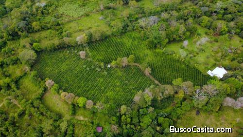 FINCA PRIVADA DE 1.9 HA EN SANTA ELENA – TERRENO APROVECHABLE, BOSQUE Y ENTORNO ESCÉNICO