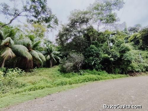 PROPIEDAD DE 7,482 M² EN VENTA – BOSQUE, QUEBRADA Y CERCA DE PLAYAS Y SERVICIOS