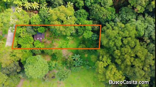 SE VENDE: 3,095 M² EN CORONADO DE OSA | TERRENO CON RÍO, BOSQUE Y CASA PARA RENOVAR