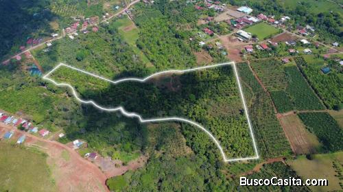 FINCA PRODUCTIVA EN VENTA – PUEBLO NUEVO DE CAJÓN, PÉREZ ZELEDÓN