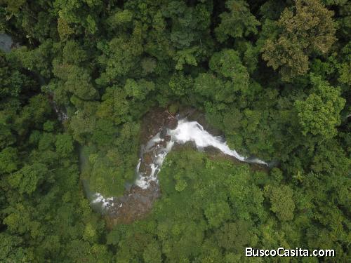 Bahía Drake - 76 Hectáreas donde la Selva Toca el Cielo