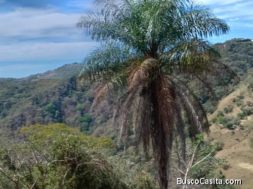 DE OPORTUNIDAD BELLA PROPIEDAD EN BARROETA, ATENAS. 