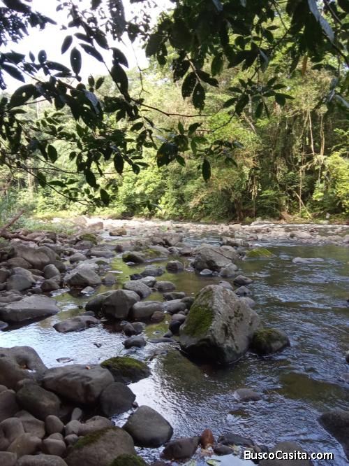 Se vende finca 12 hectareas