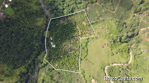 FINCA PRODUCTIVA DE MAMÓN CHINO EN VENTA – SAN PEDRO DE SANTIAGO, PÉREZ ZELEDÓN