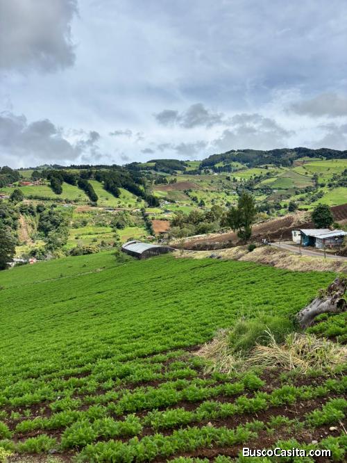 SE VENDEN 2 BELLAS PROPIEDADES EN NARANJO.