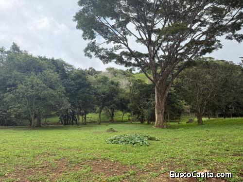 POTENCIAL FINCA EN JESÚS, BARROETA, ATENAS.