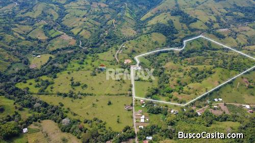 FINCA GANADERA EN VENTA EN EL ÁGUILA DE PEJIBAYE, PÉREZ ZELEDÓN – 51 HECTÁREAS