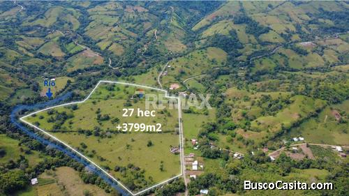 FINCA GANADERA 27 HECTÁREAS EN PÉREZ ZELEDÓN