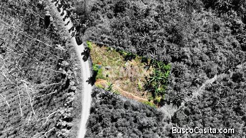 LOTE CON VISTA A LA CORDILLERA DE TALAMANCA EN PÉREZ ZELEDÓN