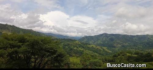 FINCAS, LOTES Y CASAS EN LOS CANTONES DE MORA Y ACOSTA. 