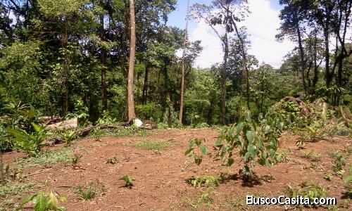 Se vende finca con bosque en zona turística proyecto privado