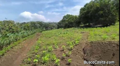 SE VENDE BELLA PROPIEDAD EN MORAZÁN DE ATENAS. 