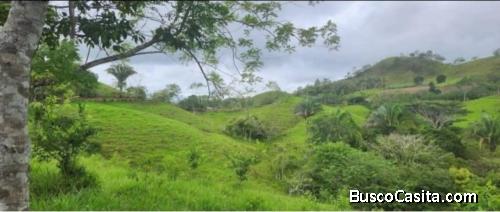 BELLA Y ÚTIL FINCA GANADERA EN JACÓ, PUNTARENAS. 