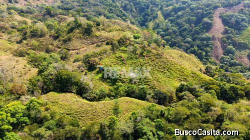 SE VENDE FINCA DE 2.8 HA EN SAN LUIS DE MORETE | VISTA A LA MONTAÑA Y CERCA DEL MAR