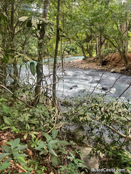 SE VENDE ESPECTACULAR FINCA EN GUATUSO DE ALAJUELA. 