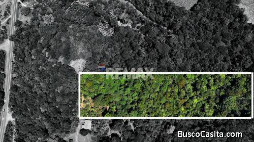LOTE DE 1 HECTÁREA CON BOSQUE PRIVADO EN LAS MERCEDES DE CAJÓN, PÉREZ ZELEDÓN