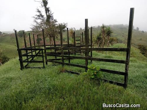 SE VENDE BELLA FINCA EN NARANJO DE ALAJUELA. 