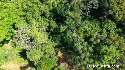 VENTA DE TERRENO DE 1.8 HECTAREAS EN QUIZARRA LISTO PARA CONSTRUIR CON DISEÑO ARQUITECTONICO