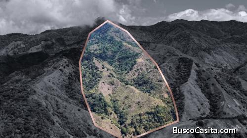 FINCA HERRADURA EN VENTA: 100.6 HA DE RESERVA HIDRICA Y FORESTAL EN EL CHIRRIPO