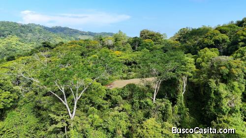 OPORTUNIDAD EXCLUSIVA DE INVERSION: FINCA DE 8.3 HECTAREAS CERCA DE DOMINICAL
