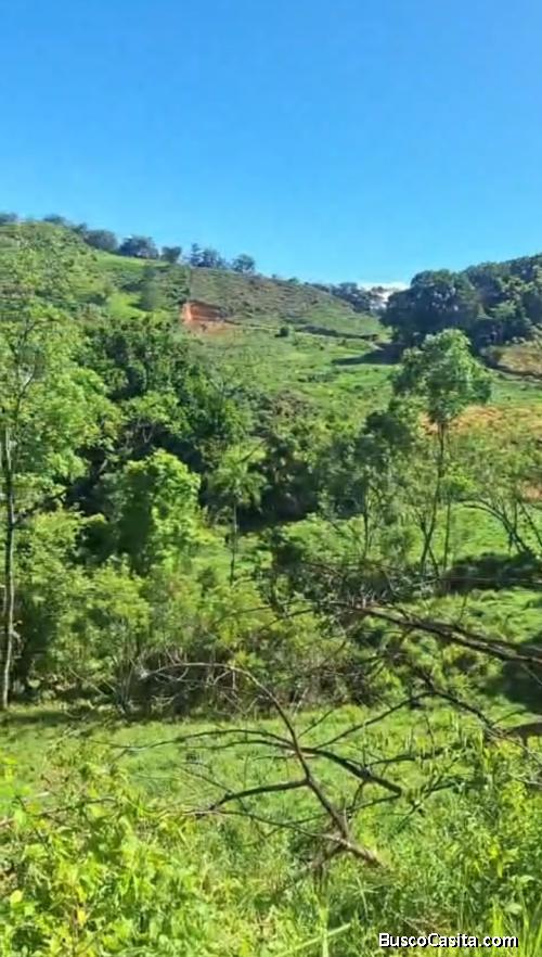 BELLA FINCA VARIOS USOS EN TABARCIA DE MORA, SAN JOSÉ. 