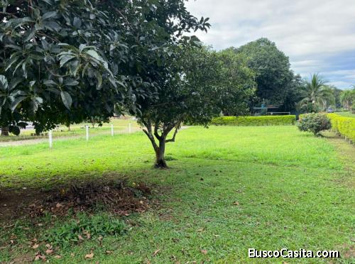 VENTA DE LOTE, ALAJUELA, OROTINA CENTRO - 9984707