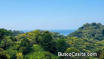 TERRENO DE 9.494 M2 CON 3 PLANTELES Y VISTA AL MAR EN VERGEL DE OSA