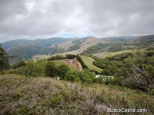 VENDO BELLA FINCA EN SAN RAMÓN, ALAJUELA.
