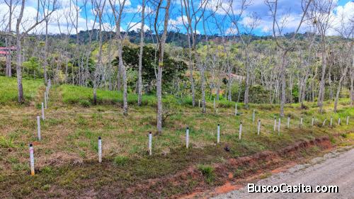 VENTA DE LOTE PREMIUM DE 1.873 M2 EN SANTA ROSA, PEREZ ZELEDON