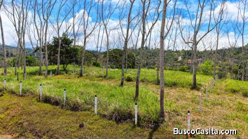 EN VENTA: LOTE LISTO PARA CONSTRUIR CON PRIVACIDAD EN SANTA ROSA