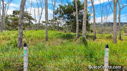 SE VENDE LOTE PREMIUM CON AREA PLANA Y QUEBRADA EN SANTA