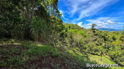 VENTA DE LOTE CON NACIENTE PROPIA EN SAN RAFAEL NORTE, PEREZ ZELEDON
