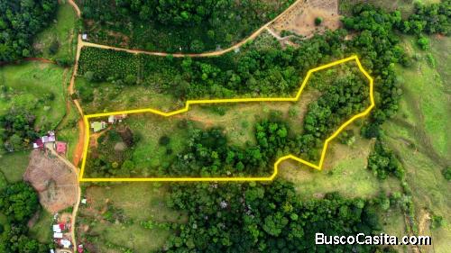 VENTA DE FINCA DE 4.9 HA EN ALTO ESPERANZAS, PEREZ ZELEDON: PRIVACIDAD Y ARBOLES FRUTALES
