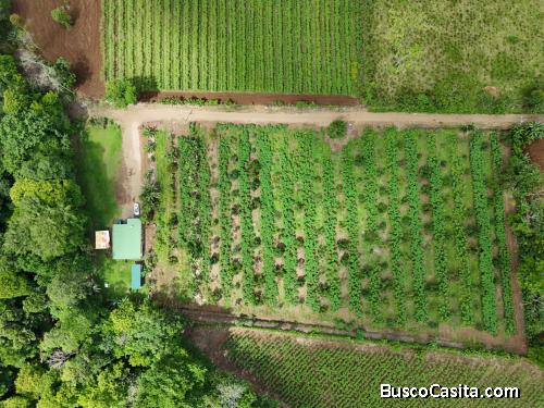 Terreno en Venta | 14,300 m² | Vista al Volcán Arenal | La Fortuna, San Carlos